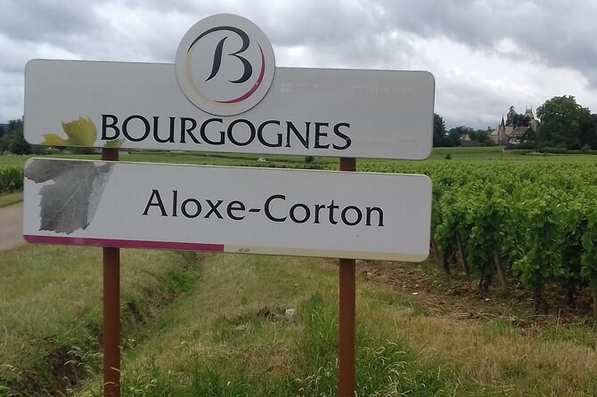 A Bourgognes sign for the village of Aloxe-Corton beside the vines