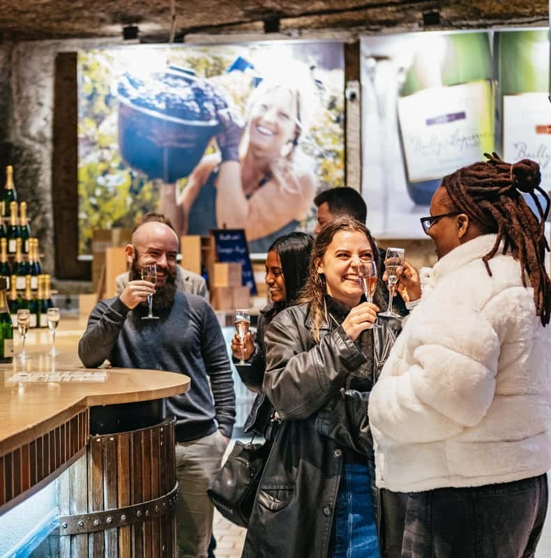 From Paris: Burgundy Region Winery Tour with Tastings