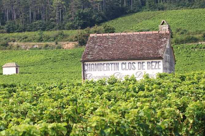 A stone hut painted Chambertin Clos de Bèze among the vine rows