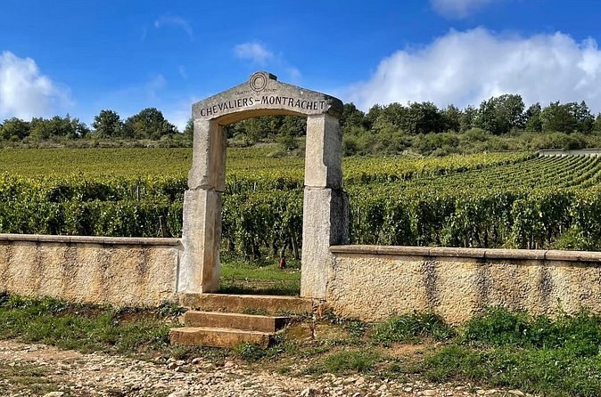 A stone gateway inscribed Chevaliers-Montrachet in the wall of a vineyard