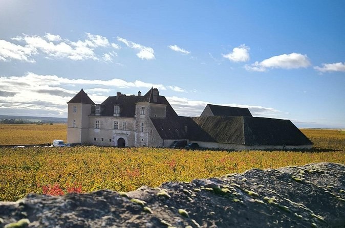 The Clos de Vougeot's château behind its walled vineyard, the vines turning gold
