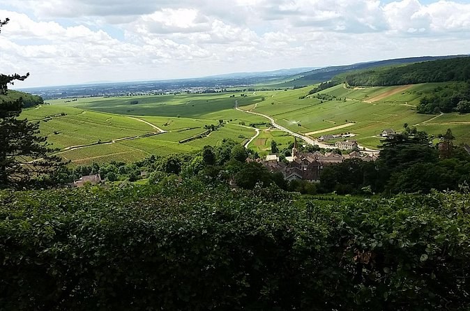 The vine slope of the Côte falling away to a village and the plain beyond