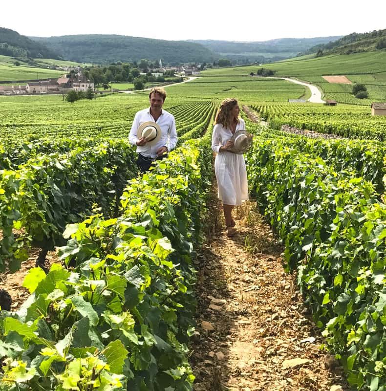 From: Dijon/Beaune: Burgundy Region Winery Tour with Lunch
