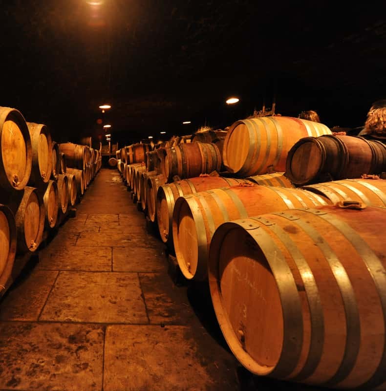 Burgundy Wines Full-Day Tasting Tour from Dijon