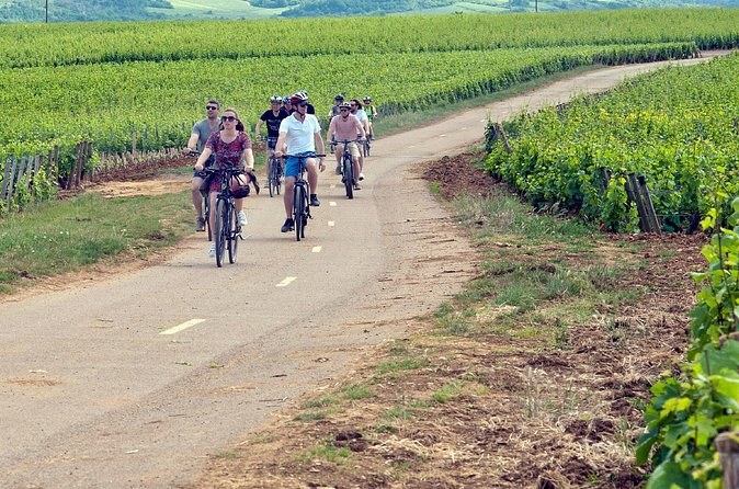 1 Day E-Bike and wine tour in Cote de Nuits from Dijon