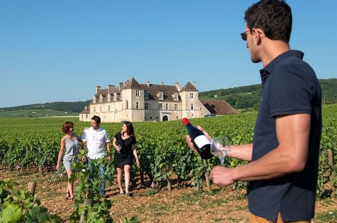 Dijon Wine Tour Côte de Nuits and Côte de Beaune Vineyards