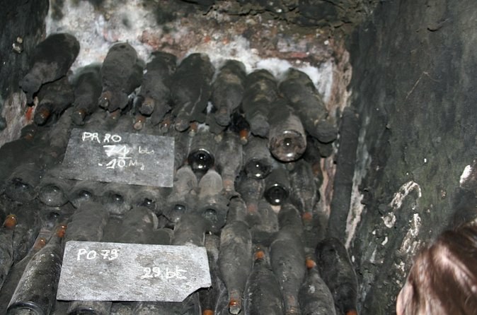 Old bottles furred with dust, their vintages chalked on slate labels