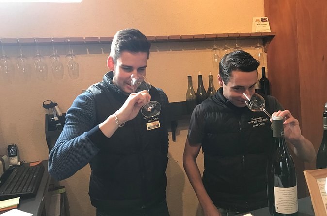 Full Day Private Burgundy Wine Route Tour from Beaune