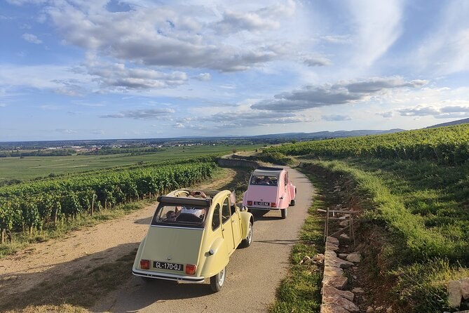 Two Citroën 2CVs, one yellow and one pink, on a track between the vines